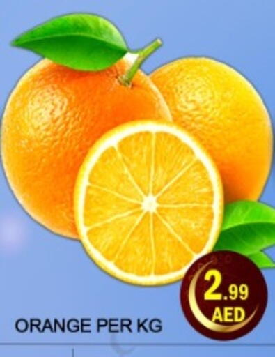 Orange available at جرين جيفت متجر أقسام in الإمارات العربية المتحدة , الامارات - دبي