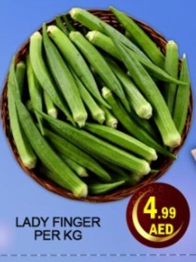 available at Green Gift Department Store in UAE - Dubai