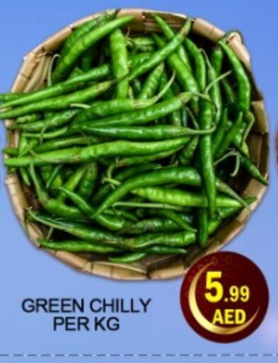 available at Green Gift Department Store in UAE - Dubai