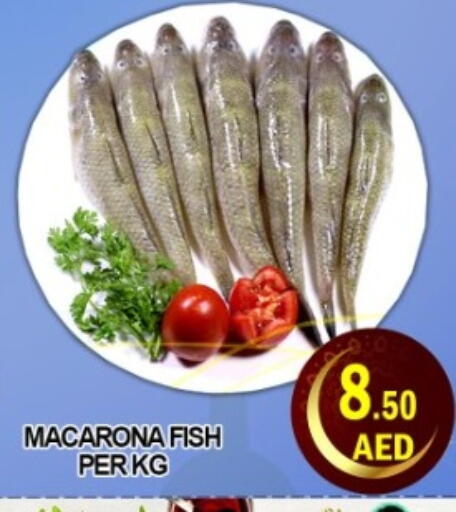 available at جرين جيفت متجر أقسام in الإمارات العربية المتحدة , الامارات - دبي