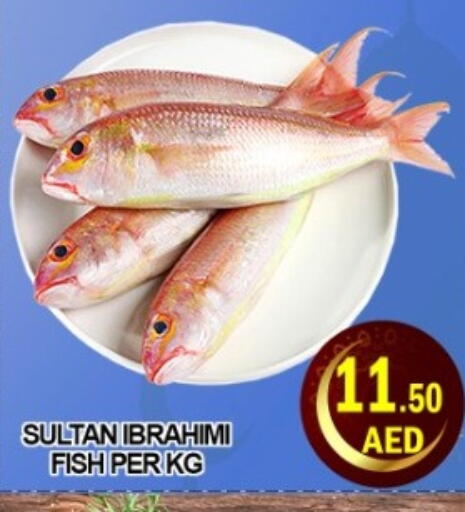 available at جرين جيفت متجر أقسام in الإمارات العربية المتحدة , الامارات - دبي