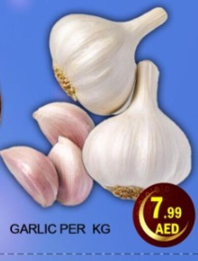 Garlic available at جرين جيفت متجر أقسام in الإمارات العربية المتحدة , الامارات - دبي