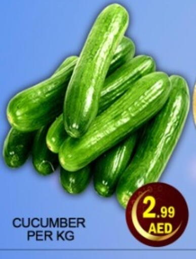 Cucumber available at جرين جيفت متجر أقسام in الإمارات العربية المتحدة , الامارات - دبي