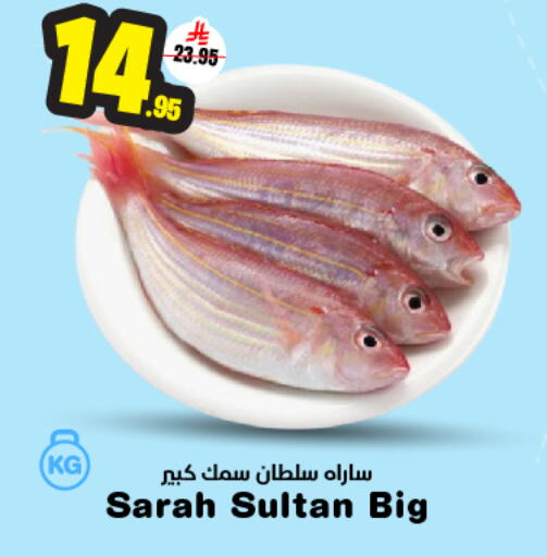 available at Nesto in KSA, Saudi Arabia, Saudi - Riyadh