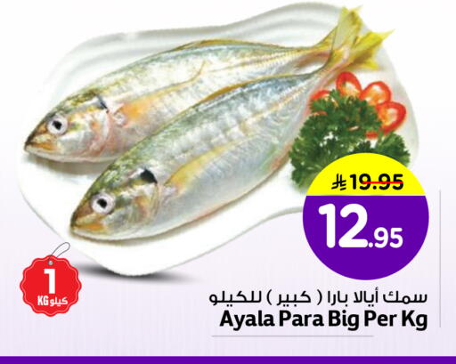 available at Nesto in KSA, Saudi Arabia, Saudi - Al Khobar