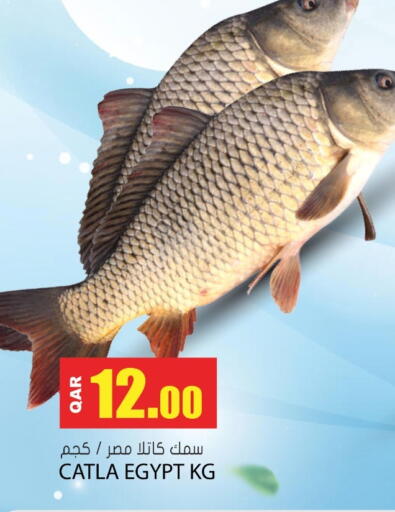 available at Grand Hypermarket in Qatar - Al Wakra