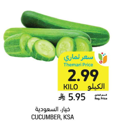 Cucumber available at أسواق التميمي in مملكة العربية السعودية, السعودية, سعودية - الخبر‎