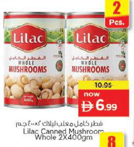 Mushroom available at نستو هايبرماركت in الإمارات العربية المتحدة , الامارات - دبي