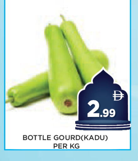 available at عين المدينة هايبرماركت in الإمارات العربية المتحدة , الامارات - الشارقة / عجمان