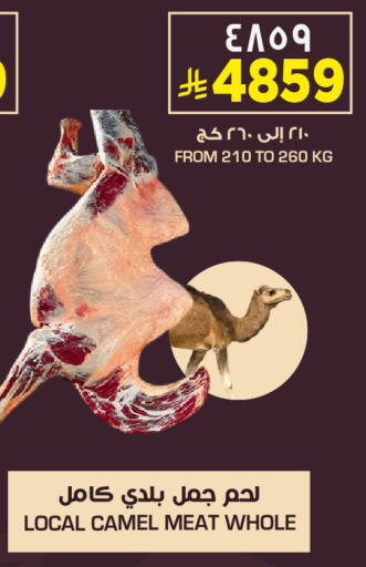 available at نستو in مملكة العربية السعودية, السعودية, سعودية - الخبر‎