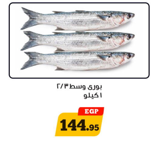 available at Awlad Ragab in Egypt - Cairo