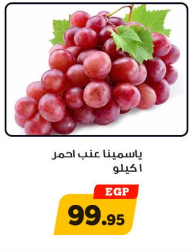 available at Awlad Ragab in Egypt - Cairo
