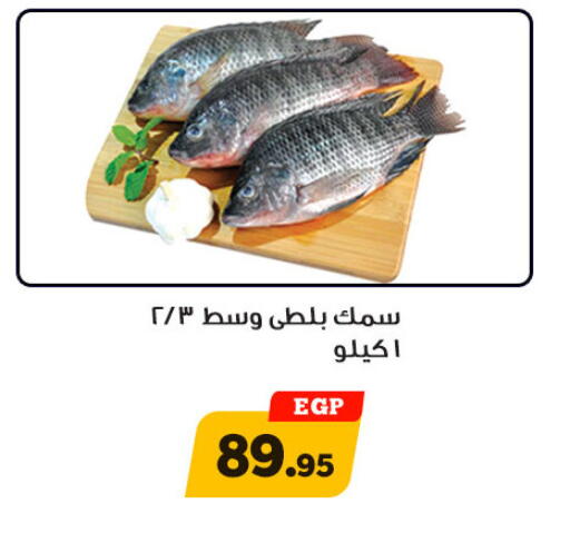 available at Awlad Ragab in Egypt - Cairo