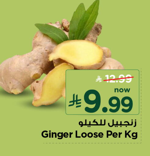 Ginger available at نستو in مملكة العربية السعودية, السعودية, سعودية - الأحساء‎