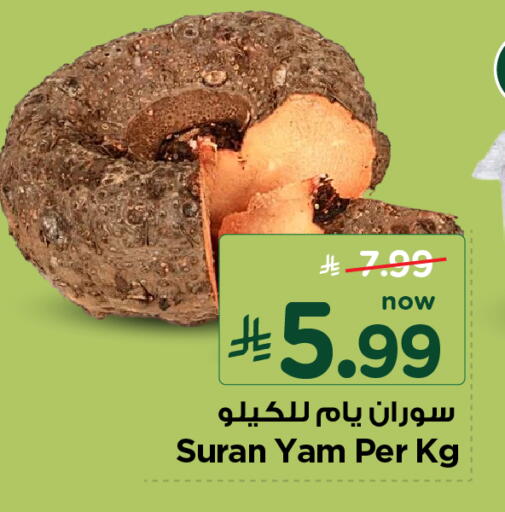available at نستو in مملكة العربية السعودية, السعودية, سعودية - الأحساء‎