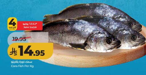 available at لولو هايبرماركت in مملكة العربية السعودية, السعودية, سعودية - حائل‎