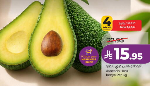 Avocado from Kenya available at لولو هايبرماركت in مملكة العربية السعودية, السعودية, سعودية - حائل‎