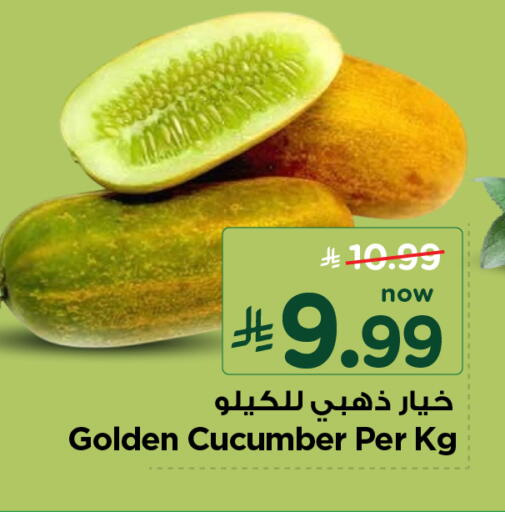 Cucumber available at نستو in مملكة العربية السعودية, السعودية, سعودية - الأحساء‎