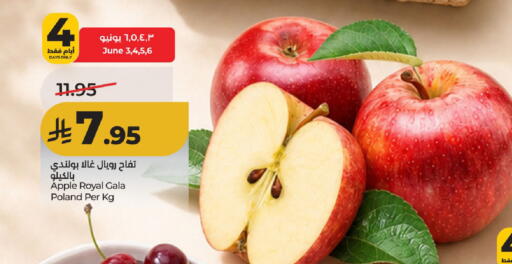 Apple from Poland available at لولو هايبرماركت in مملكة العربية السعودية, السعودية, سعودية - حائل‎