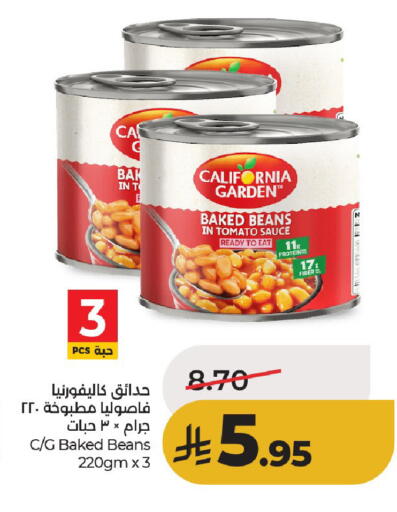 Tomato available at لولو هايبرماركت in مملكة العربية السعودية, السعودية, سعودية - حائل‎