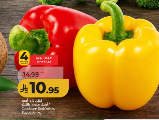 Capsicum from Egypt available at لولو هايبرماركت in مملكة العربية السعودية, السعودية, سعودية - حائل‎