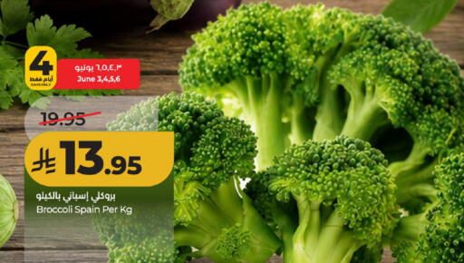 Broccoli from Spain available at لولو هايبرماركت in مملكة العربية السعودية, السعودية, سعودية - حائل‎