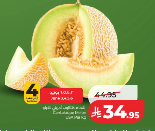 Cantaloupe Melon available at لولو هايبرماركت in مملكة العربية السعودية, السعودية, سعودية - حائل‎