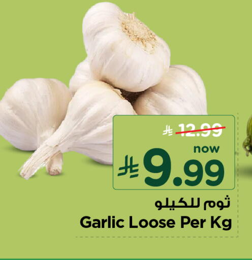 Garlic available at نستو in مملكة العربية السعودية, السعودية, سعودية - الأحساء‎