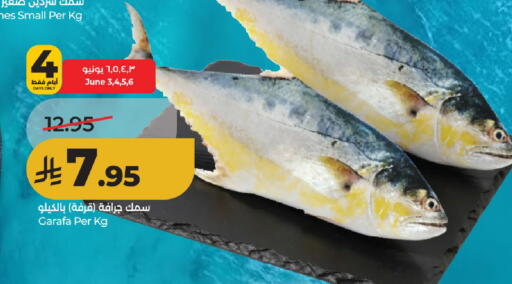available at لولو هايبرماركت in مملكة العربية السعودية, السعودية, سعودية - حائل‎