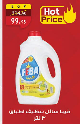 available at الرايه  ماركت in Egypt - القاهرة