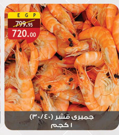 available at الرايه  ماركت in Egypt - القاهرة