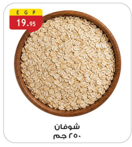 available at الرايه  ماركت in Egypt - القاهرة