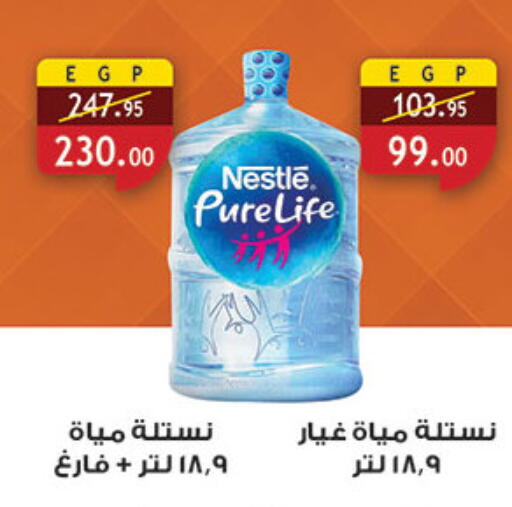 available at الرايه  ماركت in Egypt - القاهرة