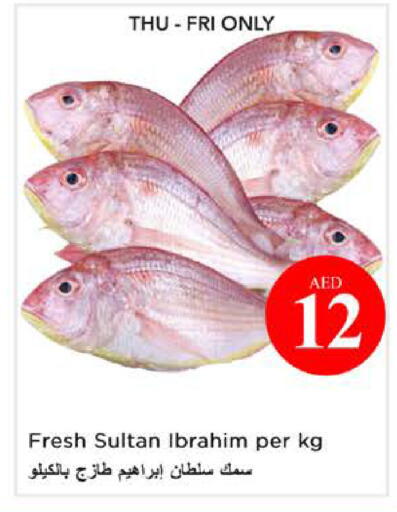 available at نستو هايبرماركت in الإمارات العربية المتحدة , الامارات - الشارقة / عجمان