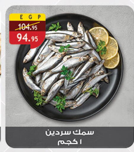 available at الرايه  ماركت in Egypt - القاهرة