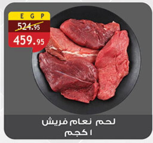 available at الرايه  ماركت in Egypt - القاهرة