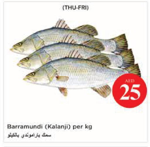available at نستو هايبرماركت in الإمارات العربية المتحدة , الامارات - أبو ظبي