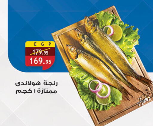 available at الرايه  ماركت in Egypt - القاهرة