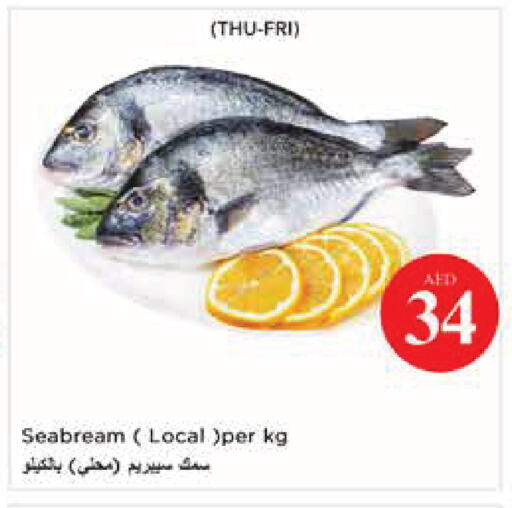 available at نستو هايبرماركت in الإمارات العربية المتحدة , الامارات - أبو ظبي