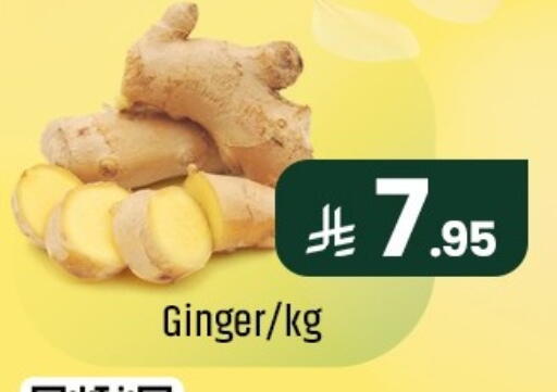 Ginger available at مركز التسوق نحن واحد in مملكة العربية السعودية, السعودية, سعودية - المنطقة الشرقية