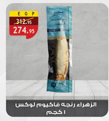 available at الرايه  ماركت in Egypt - القاهرة