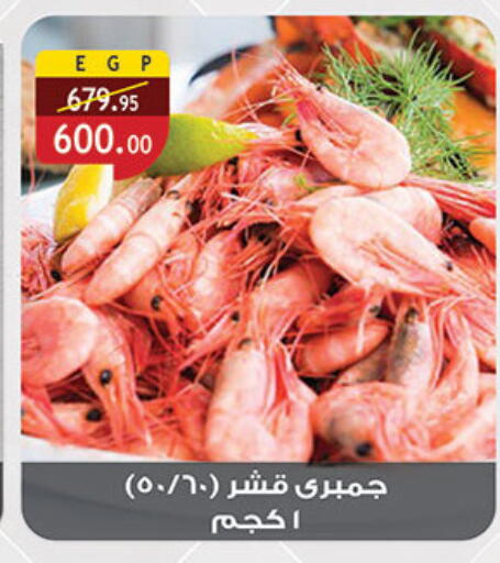 available at الرايه  ماركت in Egypt - القاهرة