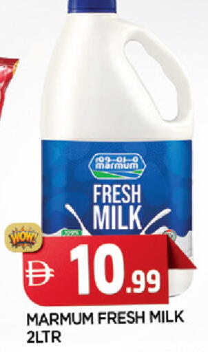 available at المدينة in الإمارات العربية المتحدة , الامارات - الشارقة / عجمان