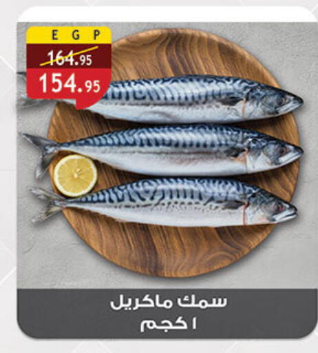 available at الرايه  ماركت in Egypt - القاهرة