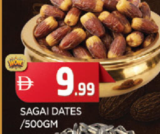 available at المدينة in الإمارات العربية المتحدة , الامارات - الشارقة / عجمان
