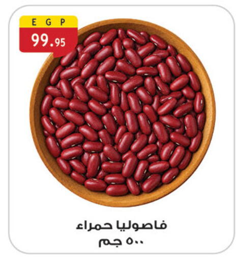 available at الرايه  ماركت in Egypt - القاهرة