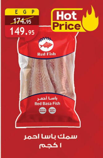 available at الرايه  ماركت in Egypt - القاهرة