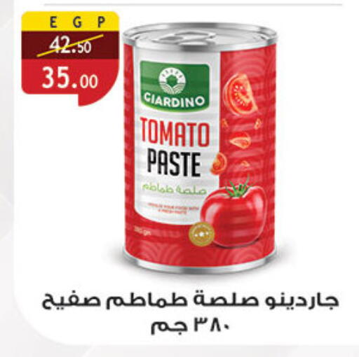 Tomato available at الرايه  ماركت in Egypt - القاهرة
