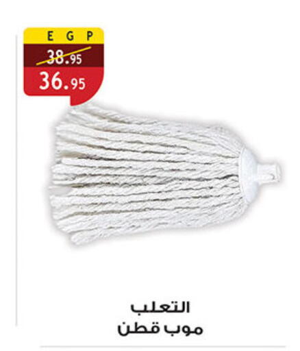 available at الرايه  ماركت in Egypt - القاهرة