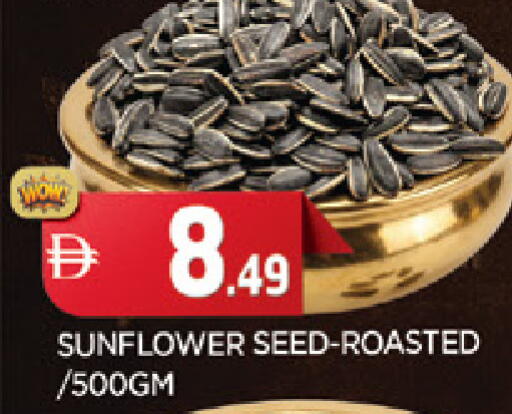 available at المدينة in الإمارات العربية المتحدة , الامارات - الشارقة / عجمان